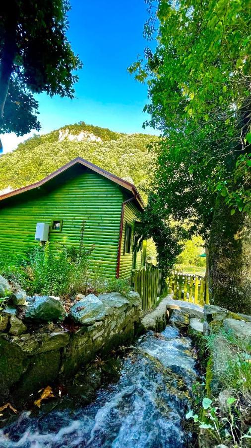 Doga Su Minimal Evler Vila Sapanca Exterior foto